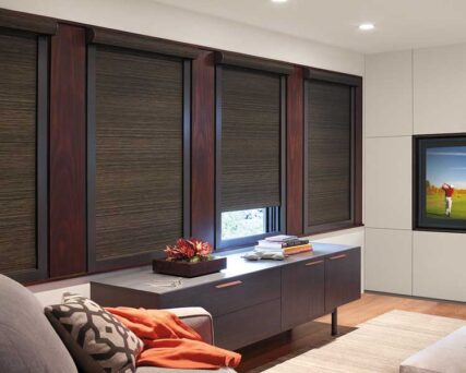 Designer Roller Shades Blackout