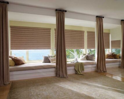 vignettemodernromanshades