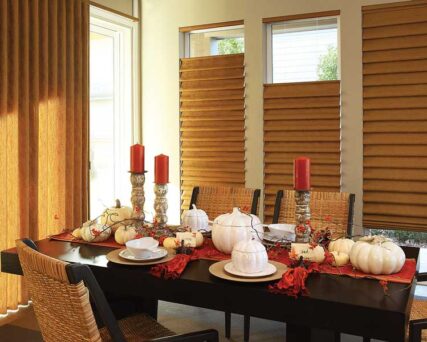 vignettemodernromanshades2