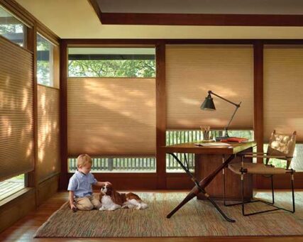 Custom Window Blinds
