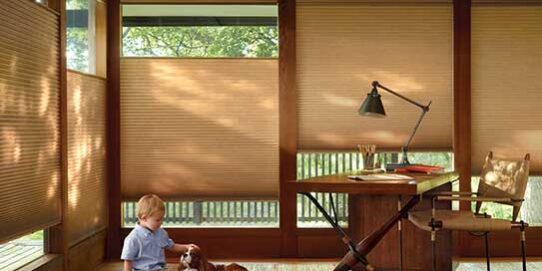 Custom Window Blinds