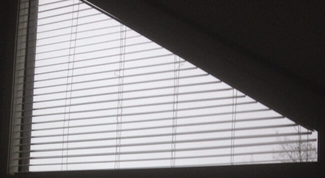 Specialty Shaped Windows