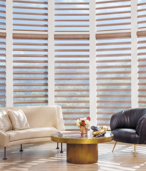 Hunter Douglas Pirouette® Window Shadings