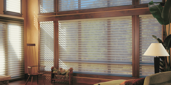 Hunter Douglas Silhouette® WIndow Shadings Hunter Douglas Silhouette® Window Shadings
