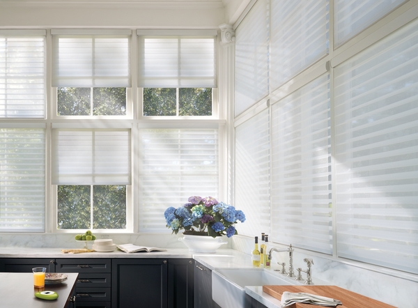 Hunter Douglas PowerView Motorized Window Shades