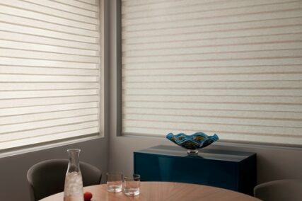 Hunter Douglas Designer Banded Shades with Drapery
