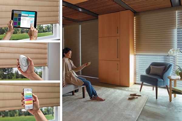 Blackout shades with PowerView Motorization