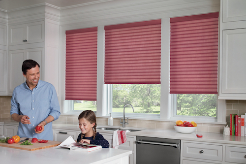 Hunter Douglas Cellular Shades 