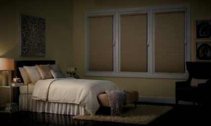 Hunter Douglas Duette® Architella® blackout shades