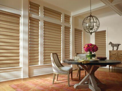 Hunter Douglas Pirouette® Window Shades