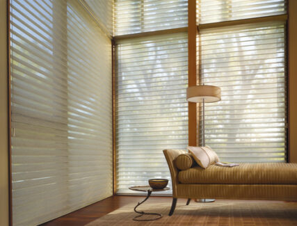 Hunter Douglas sheer horizontal shades