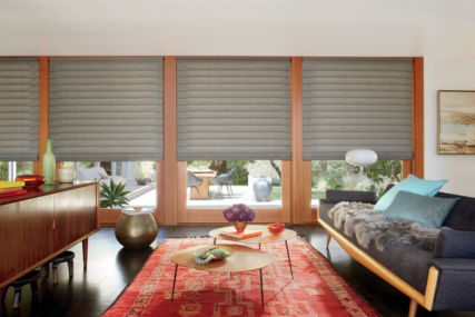 Hunter Douglas Alustra® Vignette®