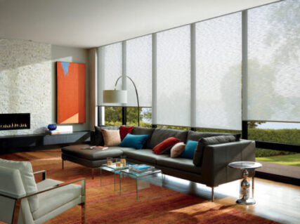 Hunter Douglas Designer Screen Shades