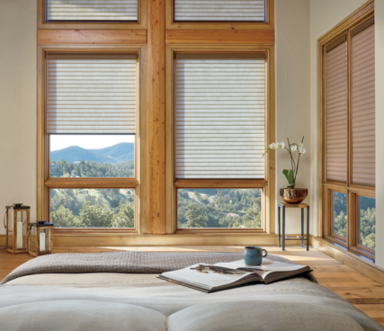 Hunter Douglas Sonnette Cellular Roller Shades