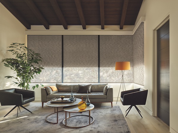 Hunter Douglas roller shades 