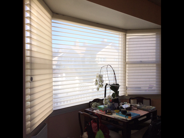 Bay Window Shades