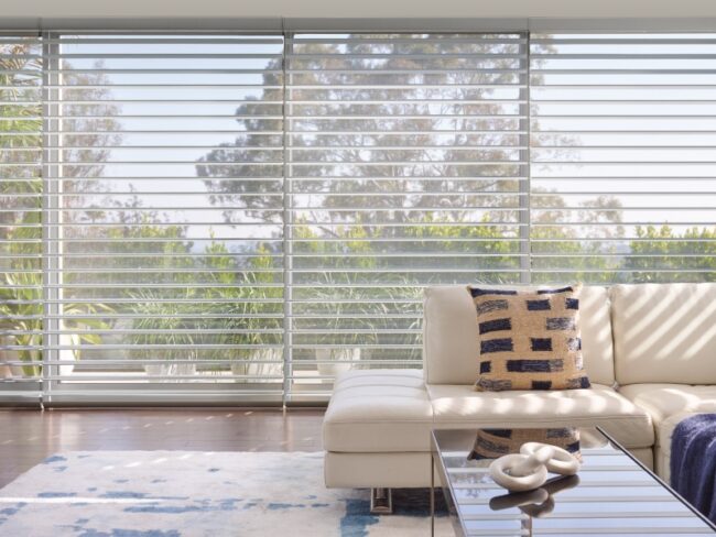 hunter-douglas-silhouette-clear Silhouette® Shades Clearview Mystere