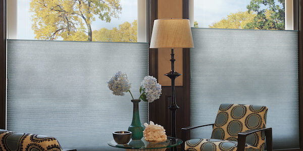 Duette® Honeycomb Shades hunter-douglas-cellular-shades