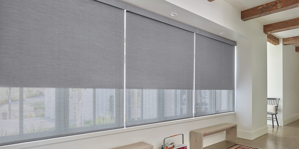 designer-roller-shades customer roller shades styles