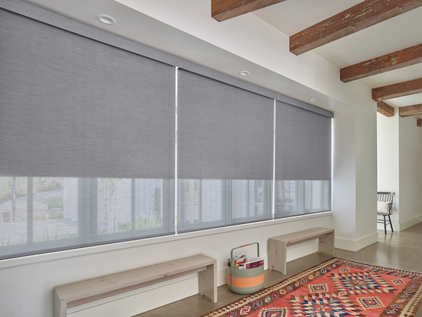 designer-roller-shades customer roller shades styles