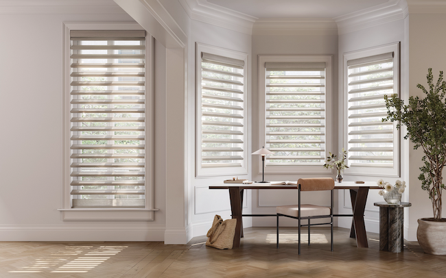Hunter Douglas Pirouette Window Shadings