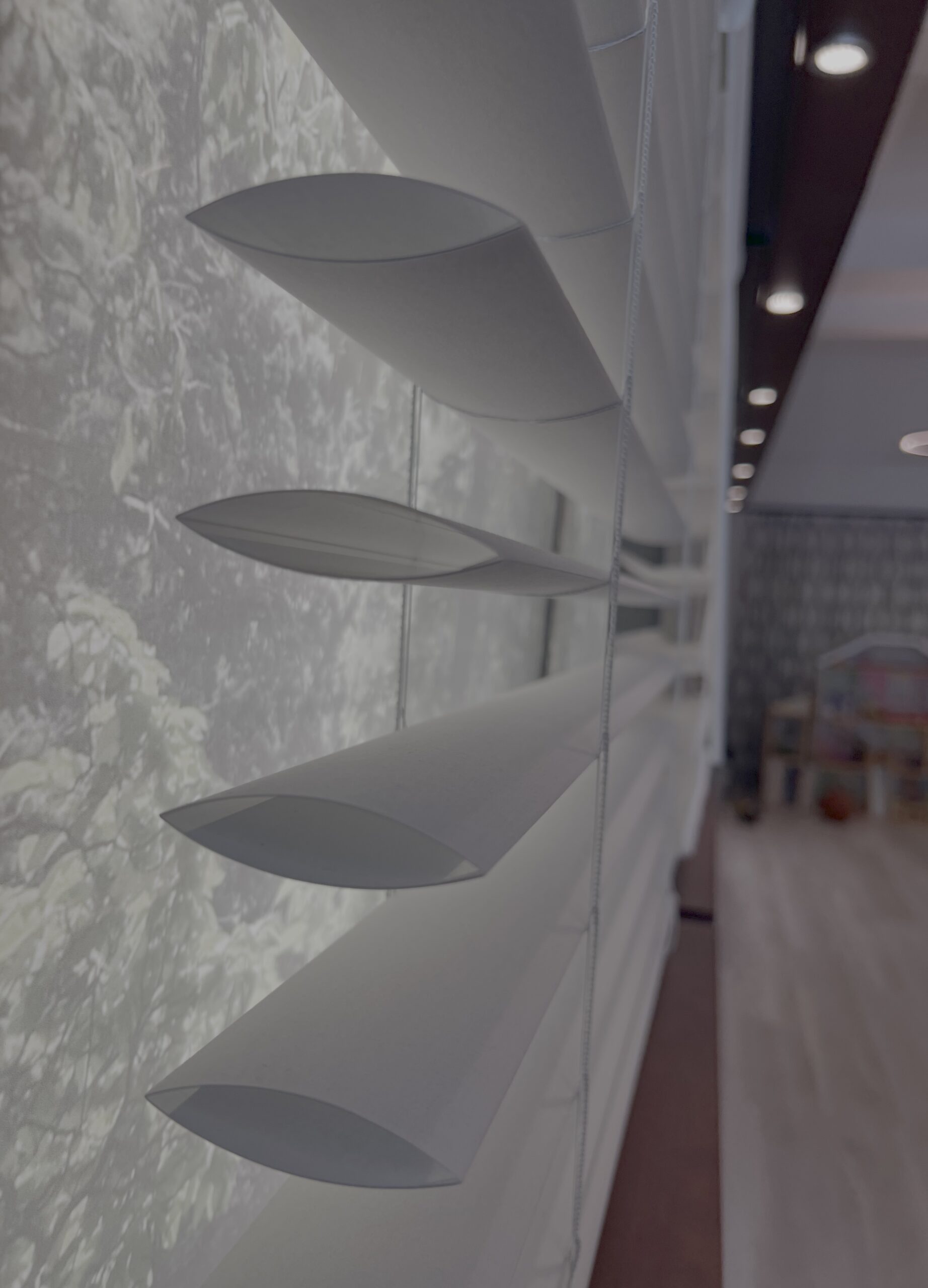 Hunter Douglas Cellular Blinds